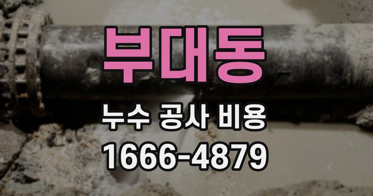 부대동 누수 공사 비용