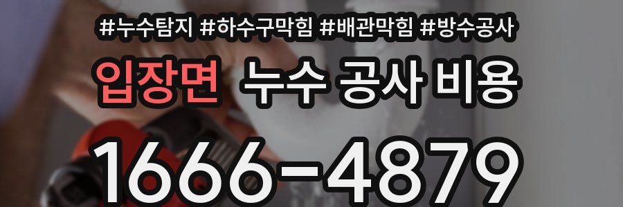 입장면 누수 공사 비용