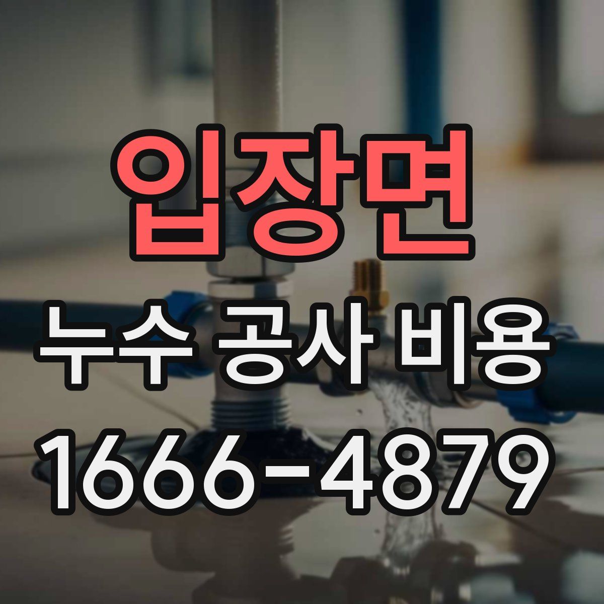 입장면 누수 공사 비용