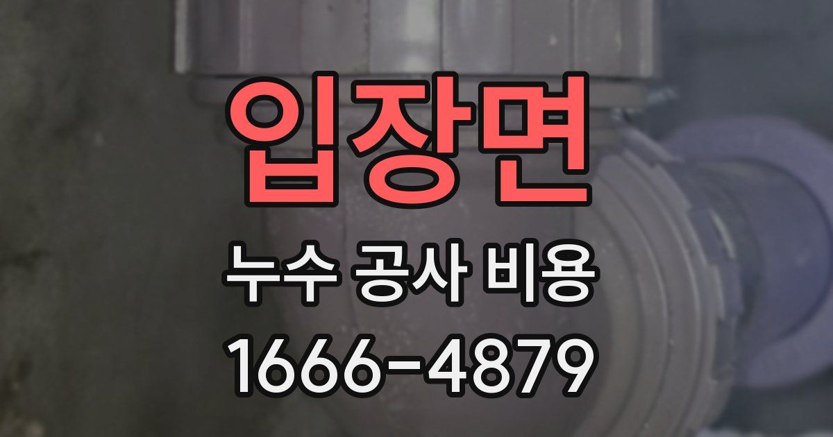 입장면 누수 공사 비용