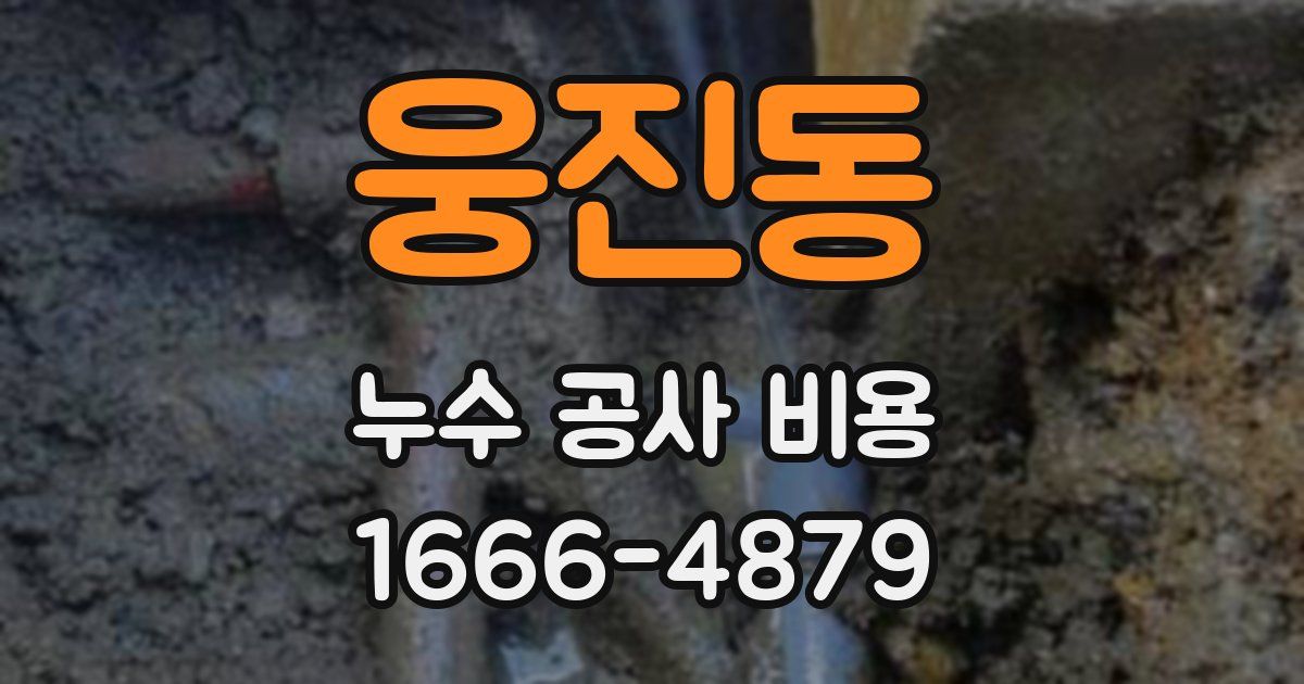 웅진동 누수 공사 비용