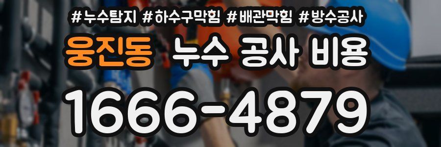 웅진동 누수 공사 비용