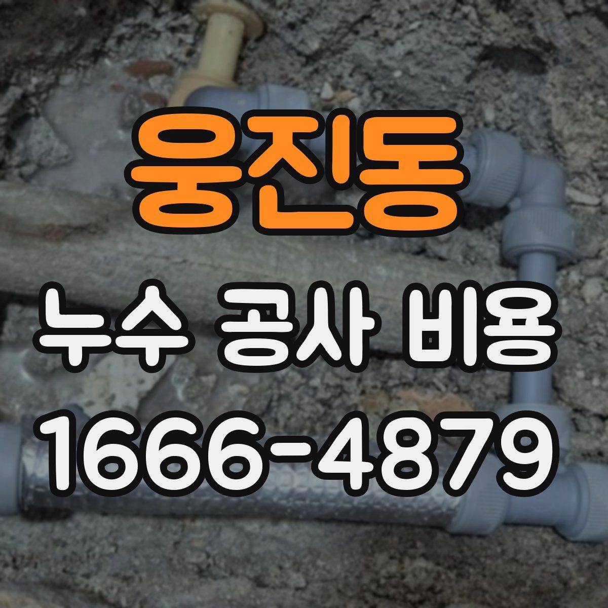 웅진동 누수 공사 비용
