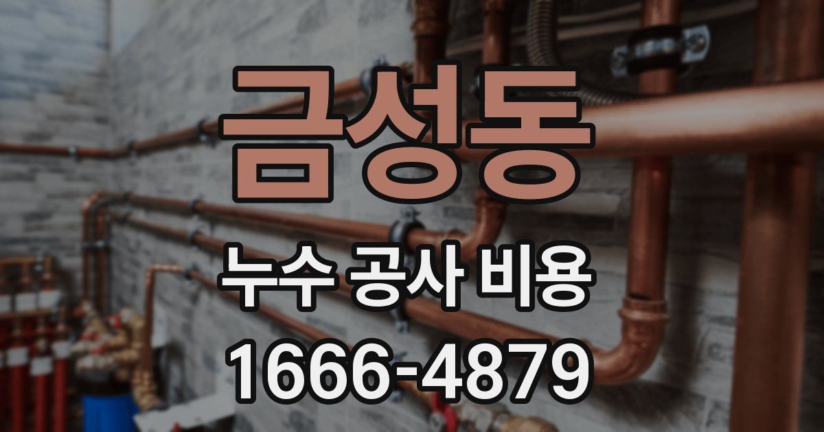 금성동 누수 공사 비용