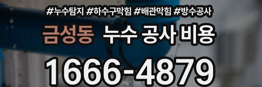 금성동 누수 공사 비용