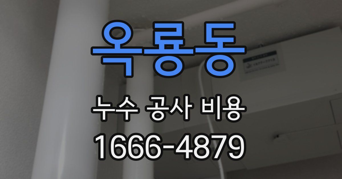 옥룡동 누수 공사 비용