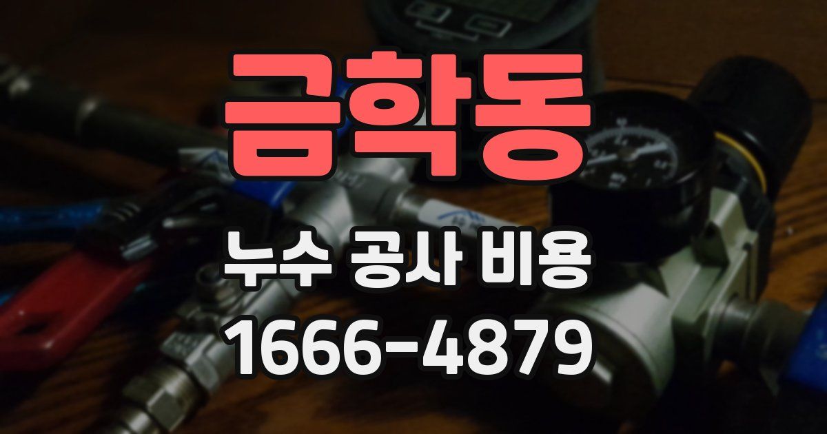 금학동 누수 공사 비용