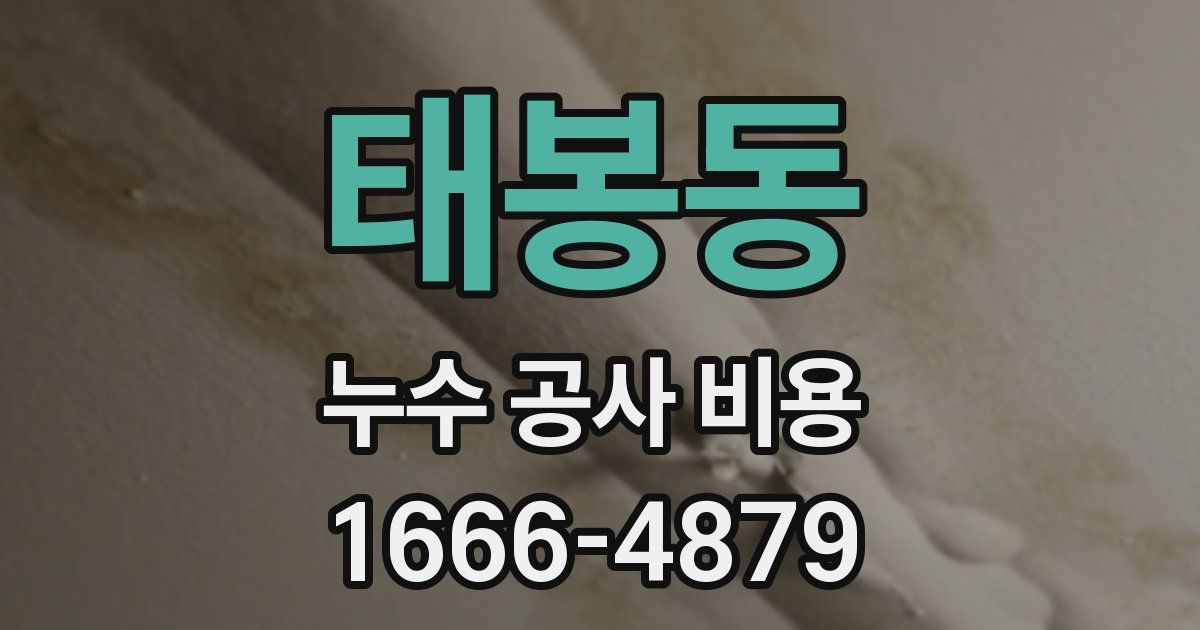 태봉동 누수 공사 비용