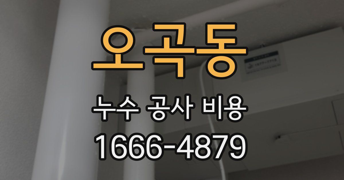 오곡동 누수 공사 비용