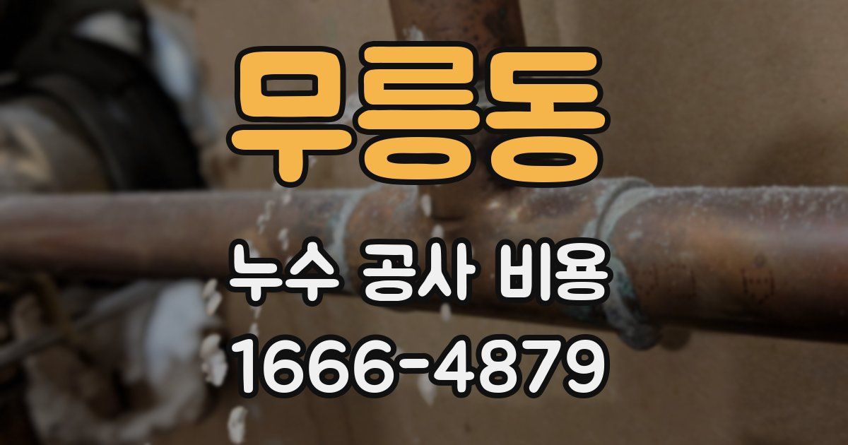 무릉동 누수 공사 비용
