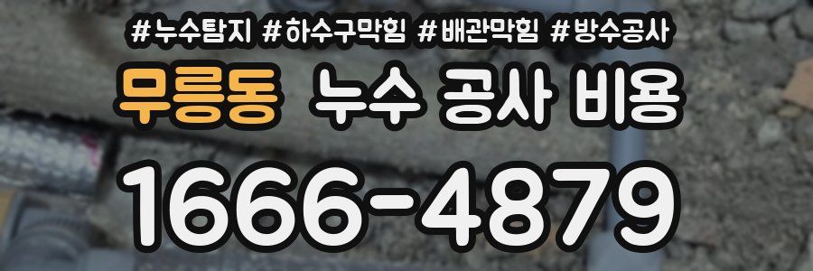 무릉동 누수 공사 비용
