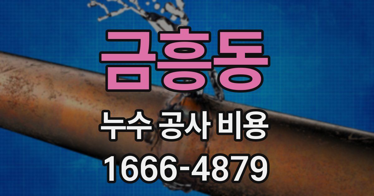 금흥동 누수 공사 비용