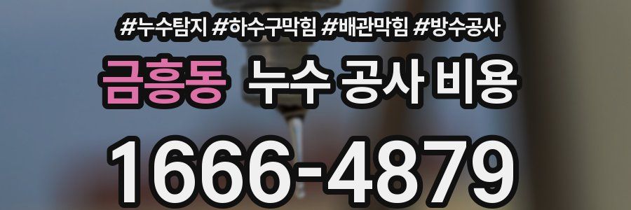 금흥동 누수 공사 비용