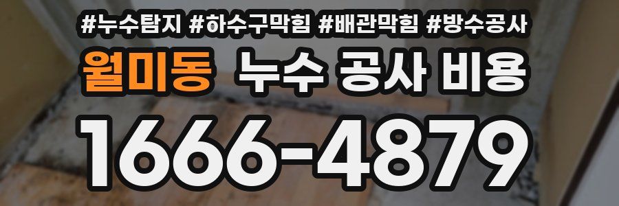 월미동 누수 공사 비용