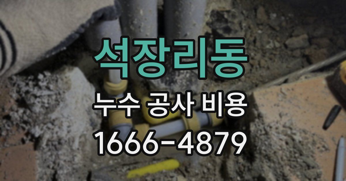 석장리동 누수 공사 비용