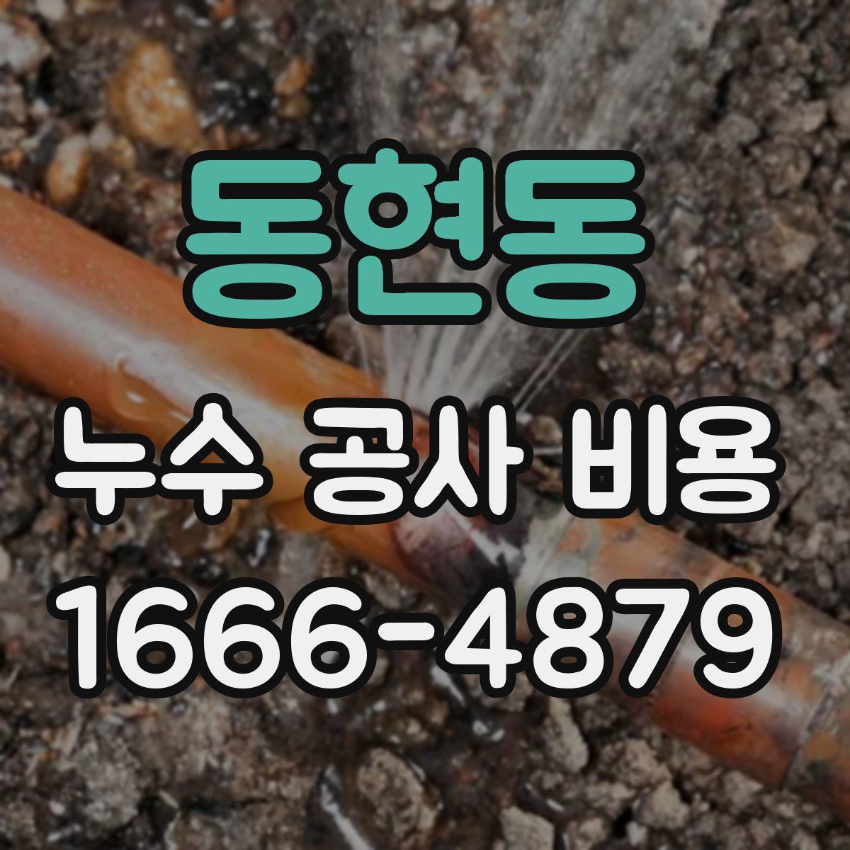 동현동 누수 공사 비용