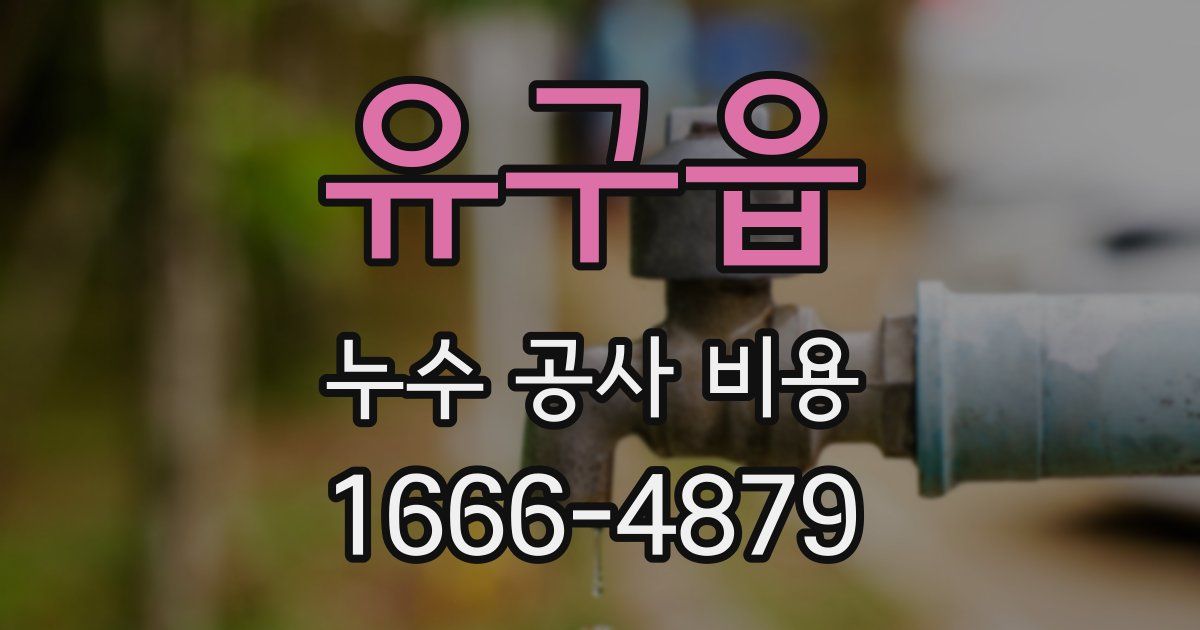 유구읍 누수 공사 비용