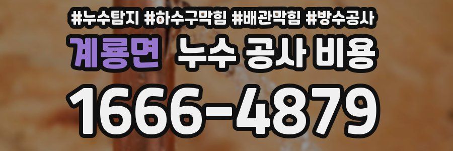 계룡면 누수 공사 비용