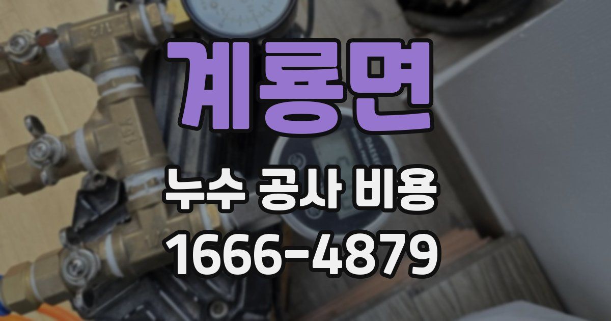 계룡면 누수 공사 비용
