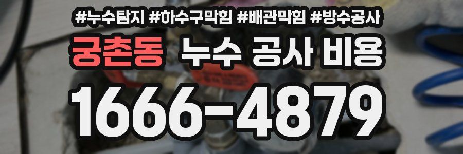 궁촌동 누수 공사 비용