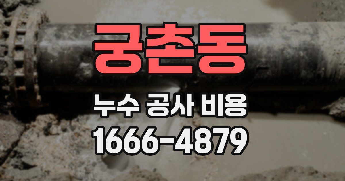 궁촌동 누수 공사 비용