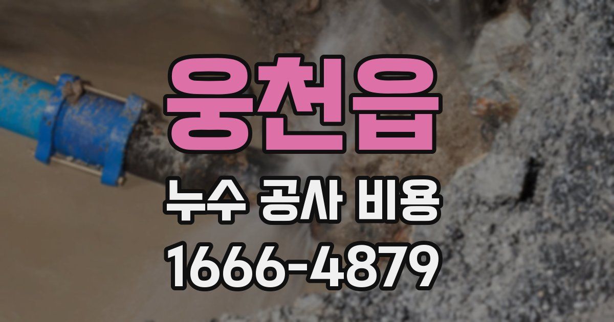 웅천읍 누수 공사 비용