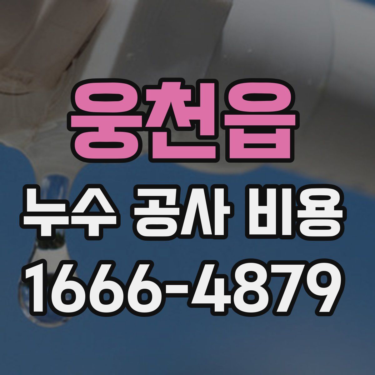 웅천읍 누수 공사 비용