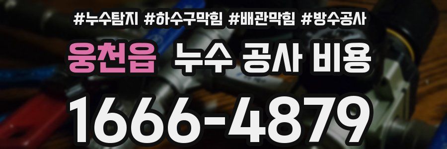 웅천읍 누수 공사 비용