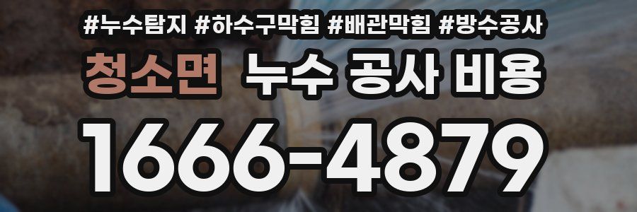 청소면 누수 공사 비용