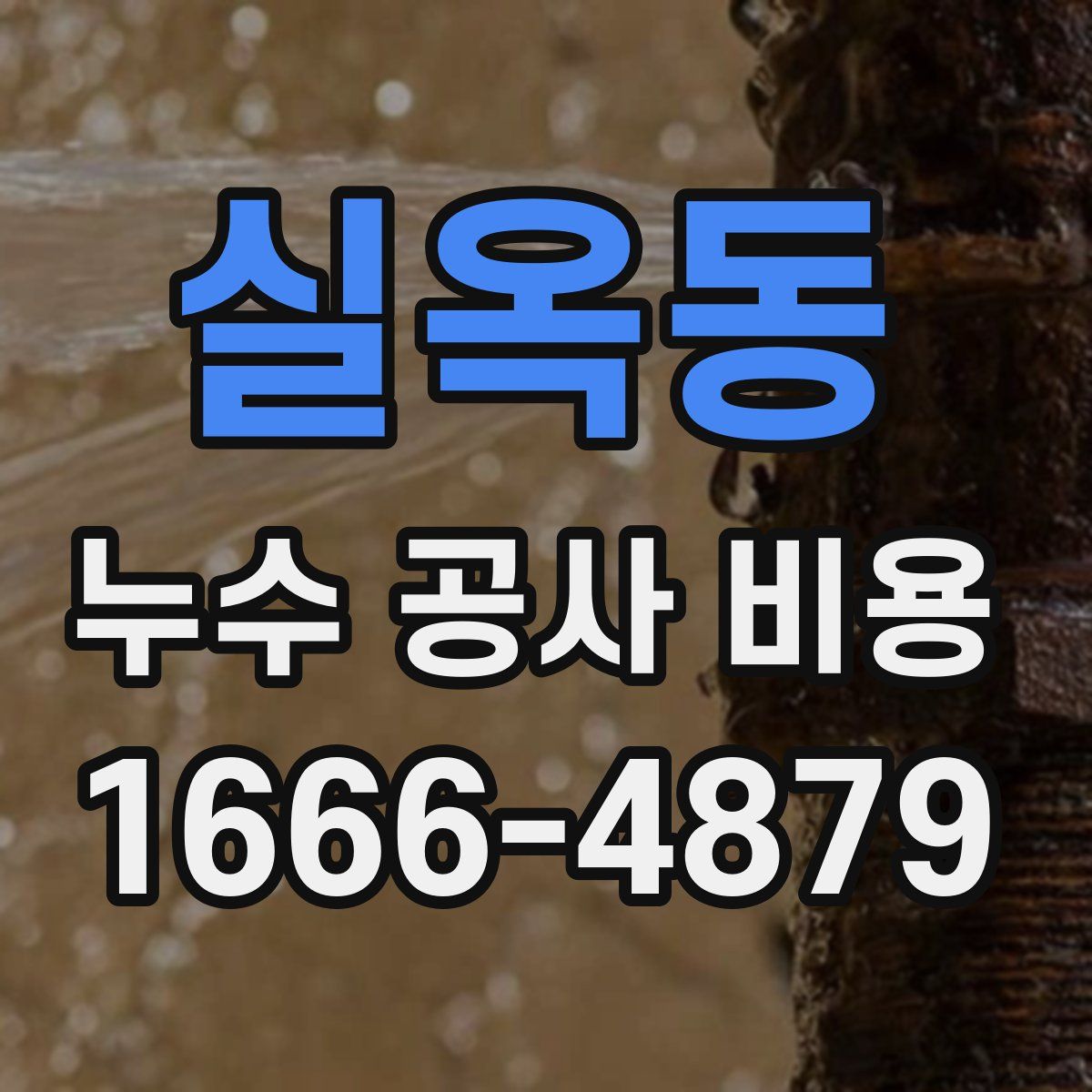 실옥동 누수 공사 비용
