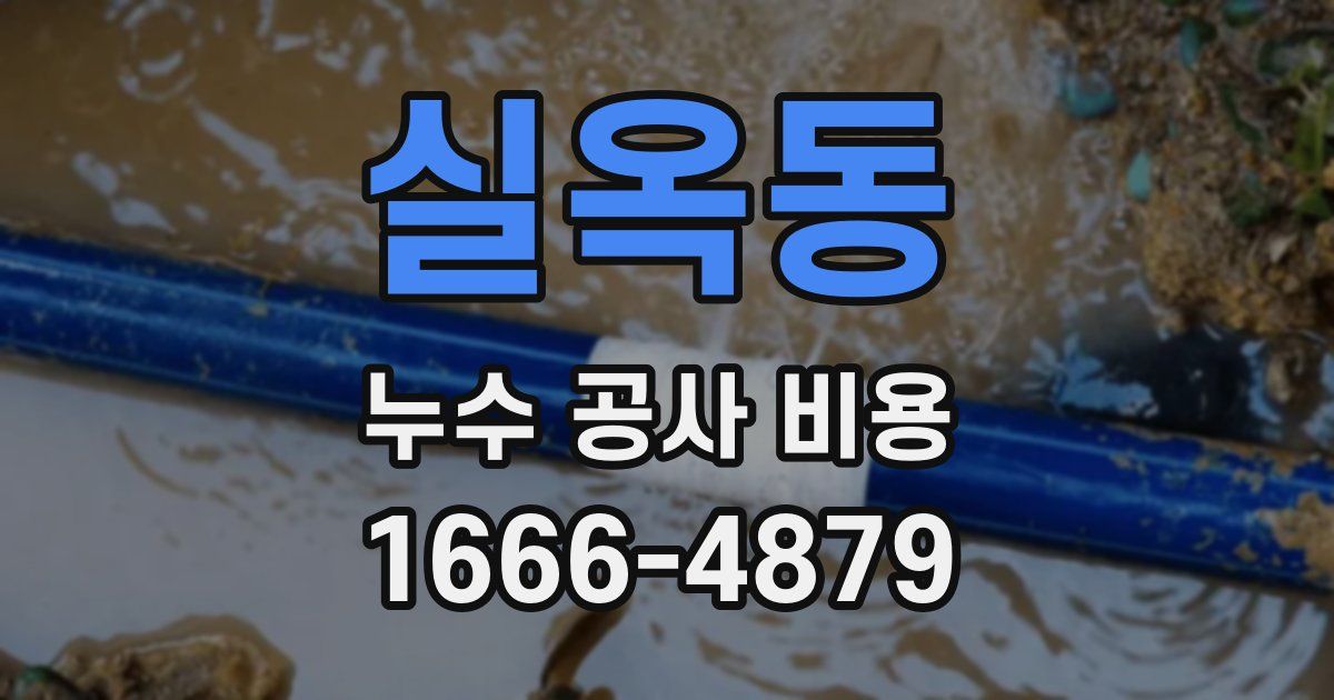 실옥동 누수 공사 비용
