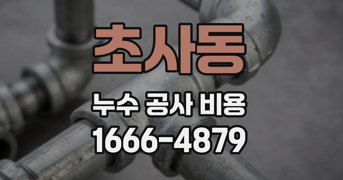 초사동 누수 공사 비용