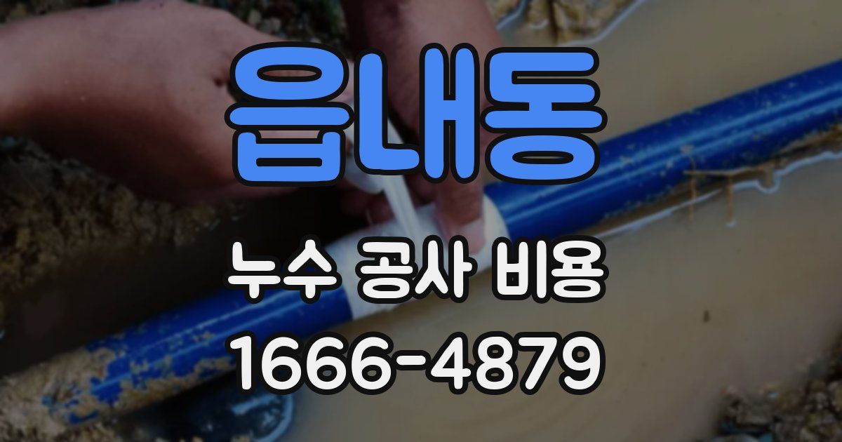 읍내동 누수 공사 비용