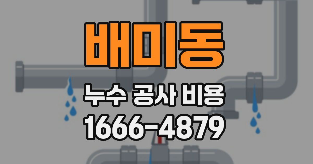 배미동 누수 공사 비용