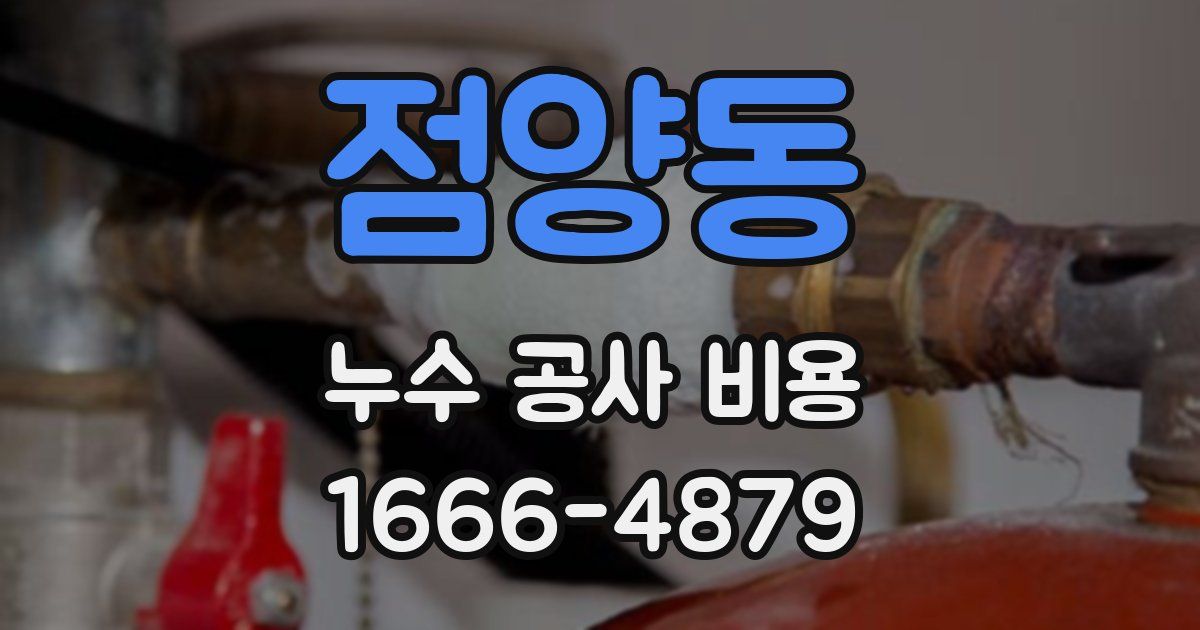 점양동 누수 공사 비용