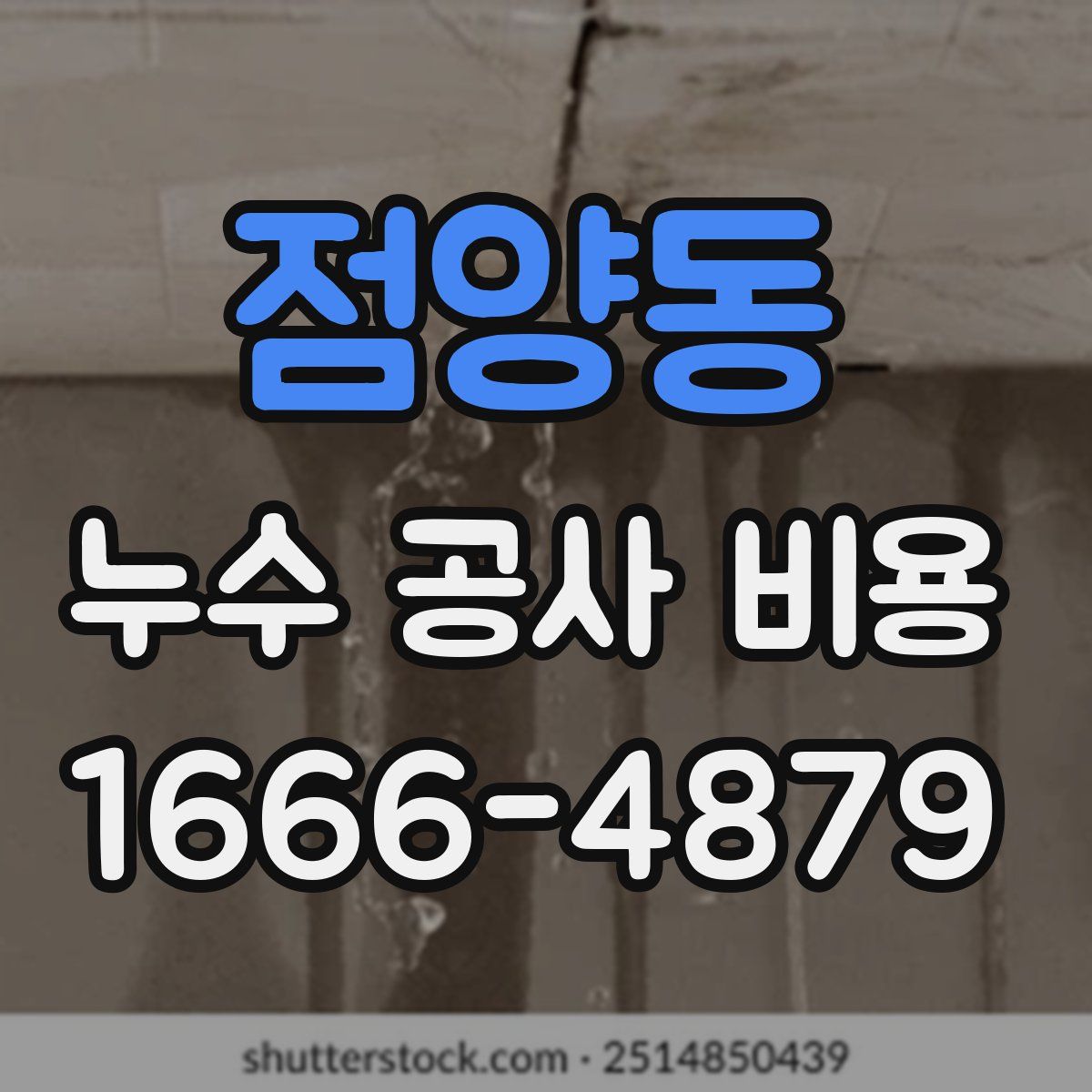 점양동 누수 공사 비용