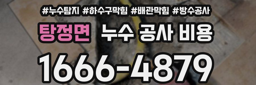 탕정면 누수 공사 비용