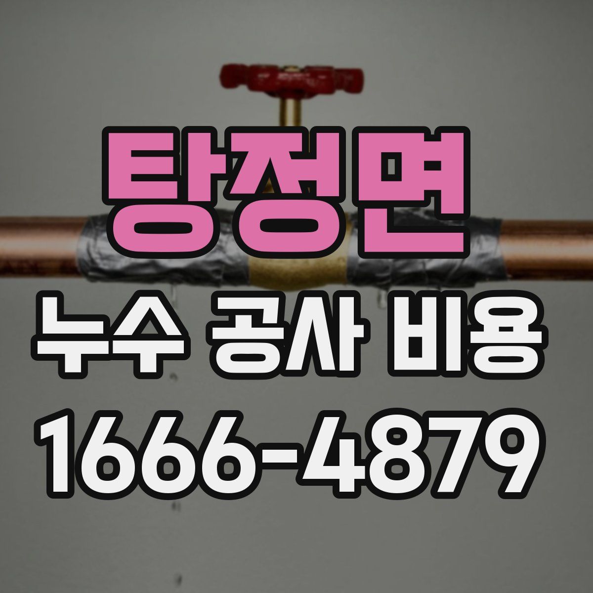 탕정면 누수 공사 비용