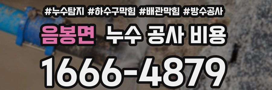 음봉면 누수 공사 비용