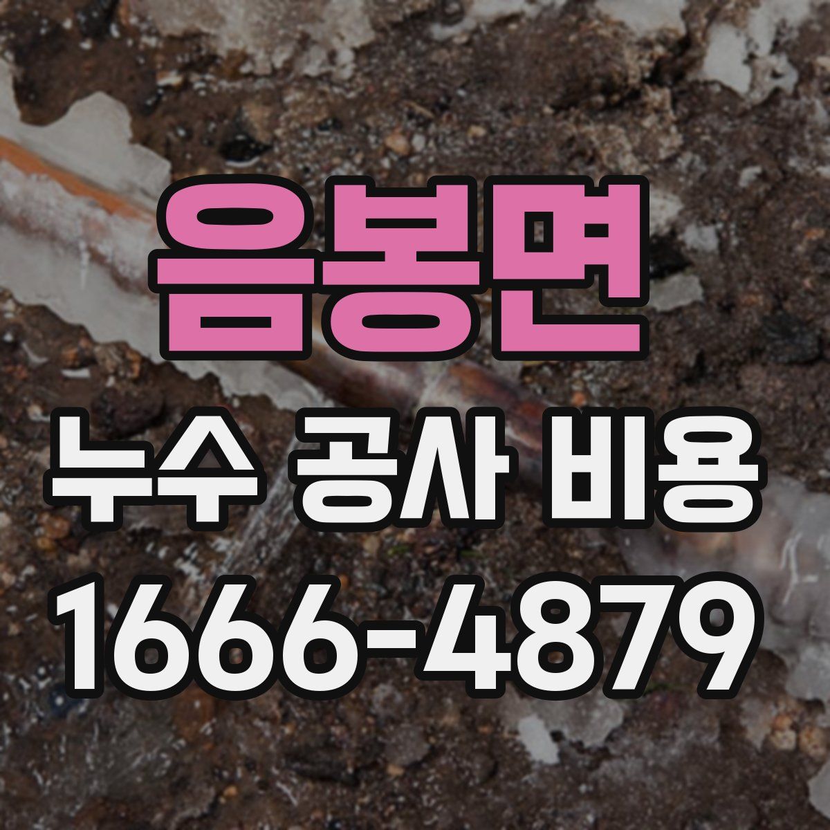 음봉면 누수 공사 비용