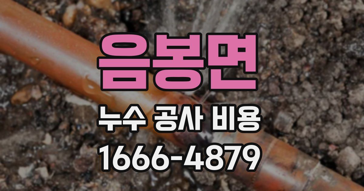 음봉면 누수 공사 비용