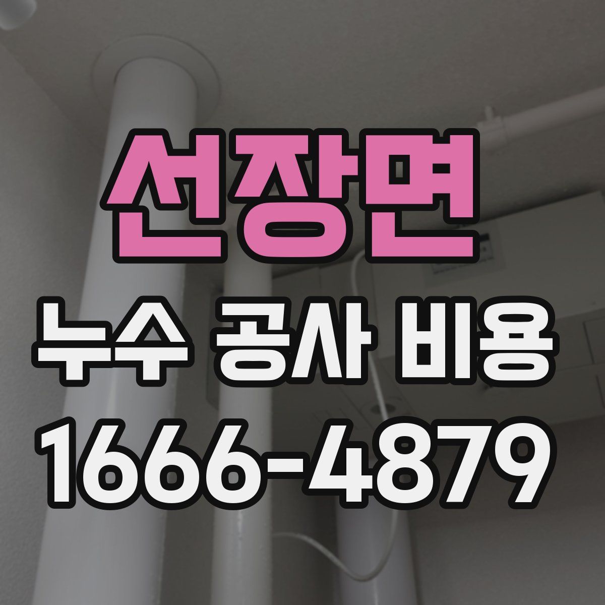 선장면 누수 공사 비용