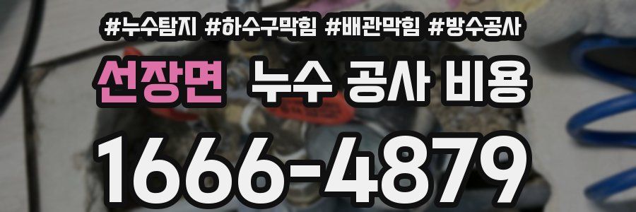선장면 누수 공사 비용
