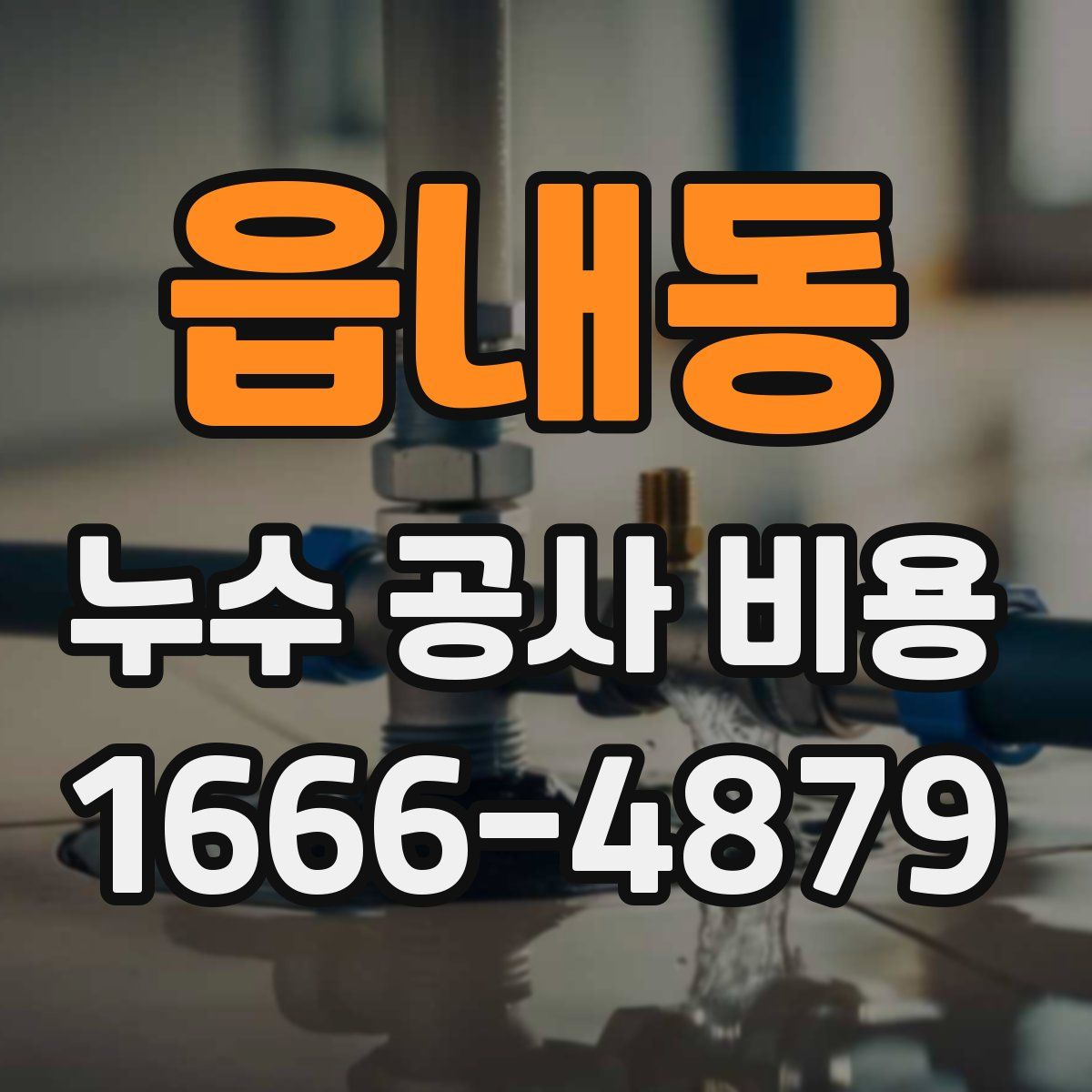 읍내동 누수 공사 비용