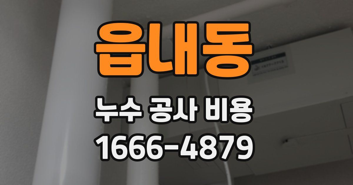 읍내동 누수 공사 비용