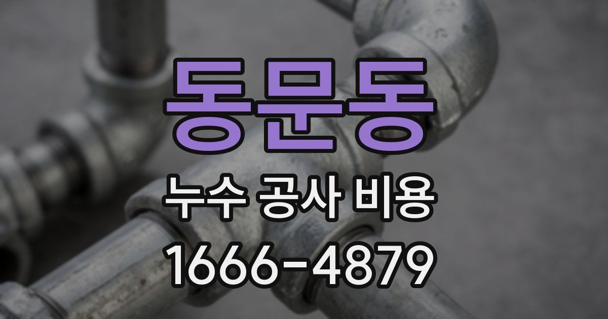 동문동 누수 공사 비용