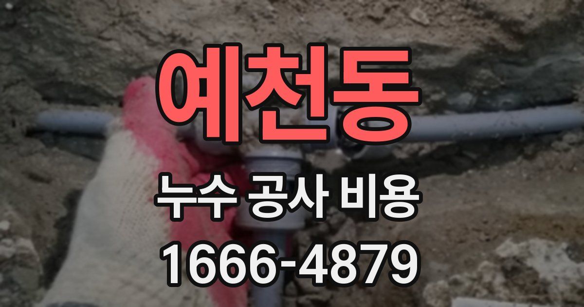 예천동 누수 공사 비용