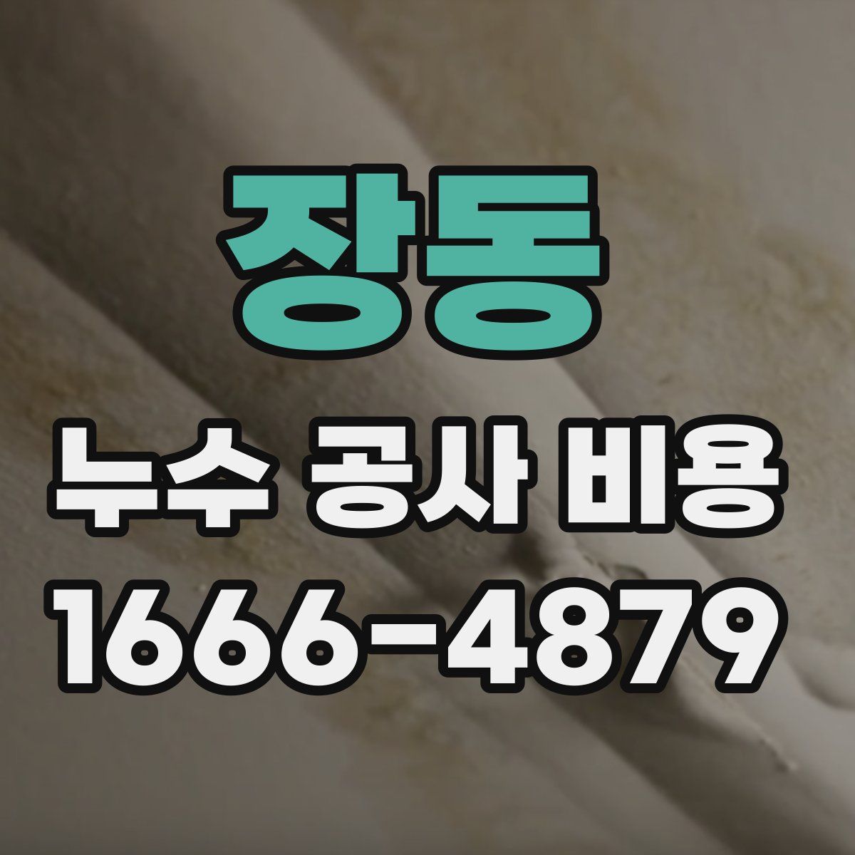 장동 누수 공사 비용