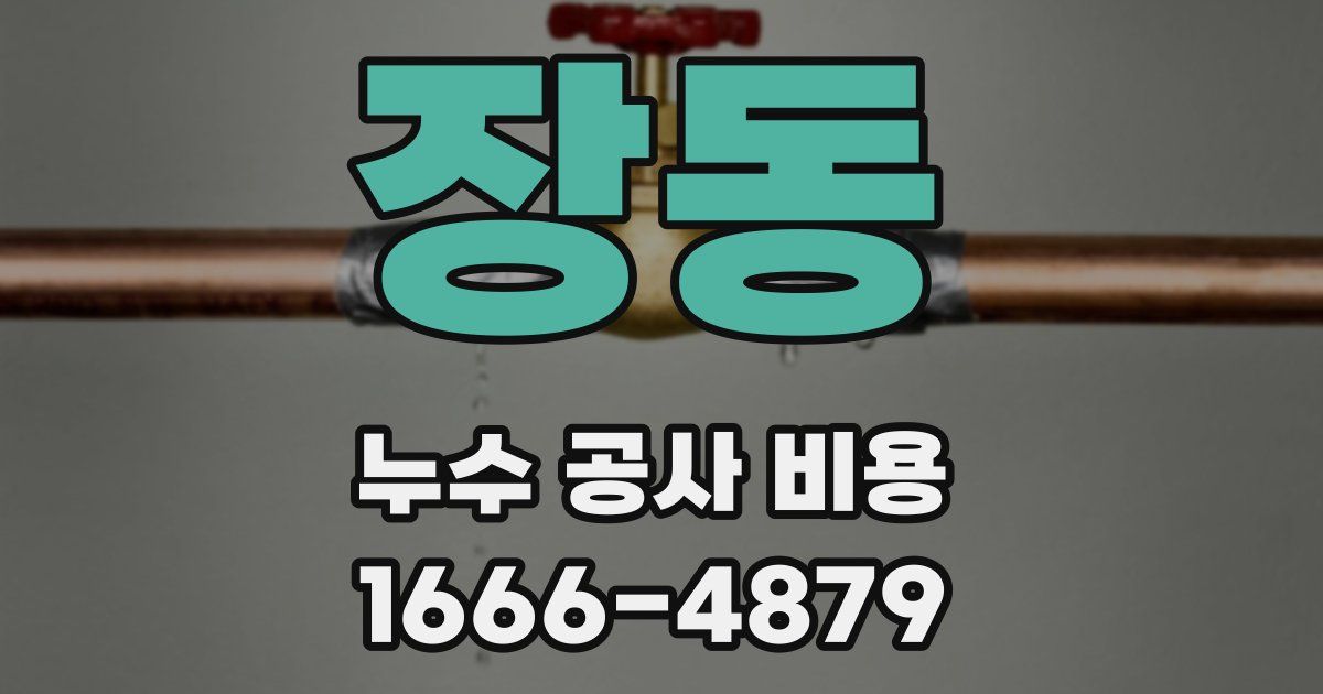 장동 누수 공사 비용
