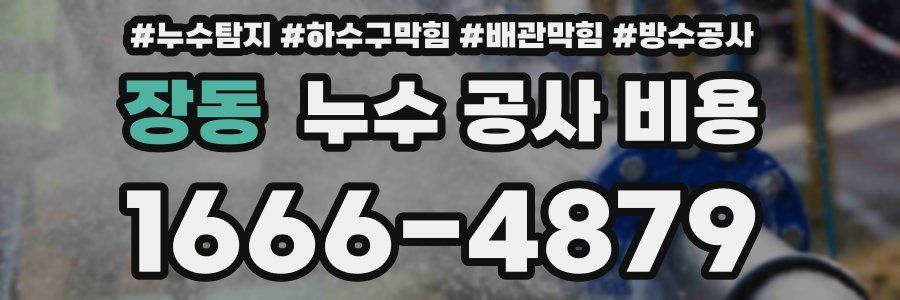 장동 누수 공사 비용